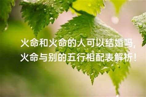 女火男土|男土命和女火命相配吗 婚姻非常顺利